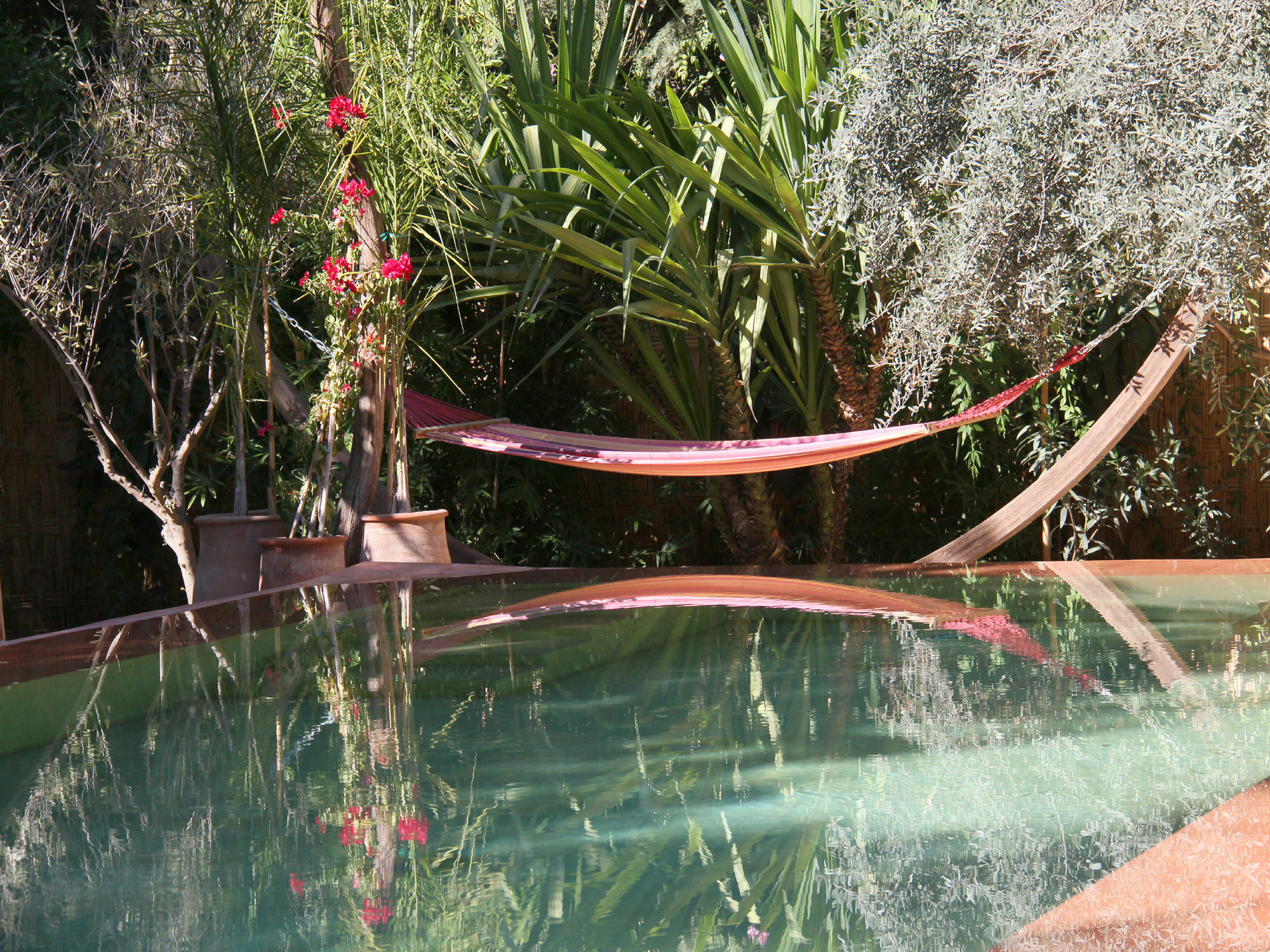Le Jardin Touagana - Campement & Lodge Touggana Exterior photo