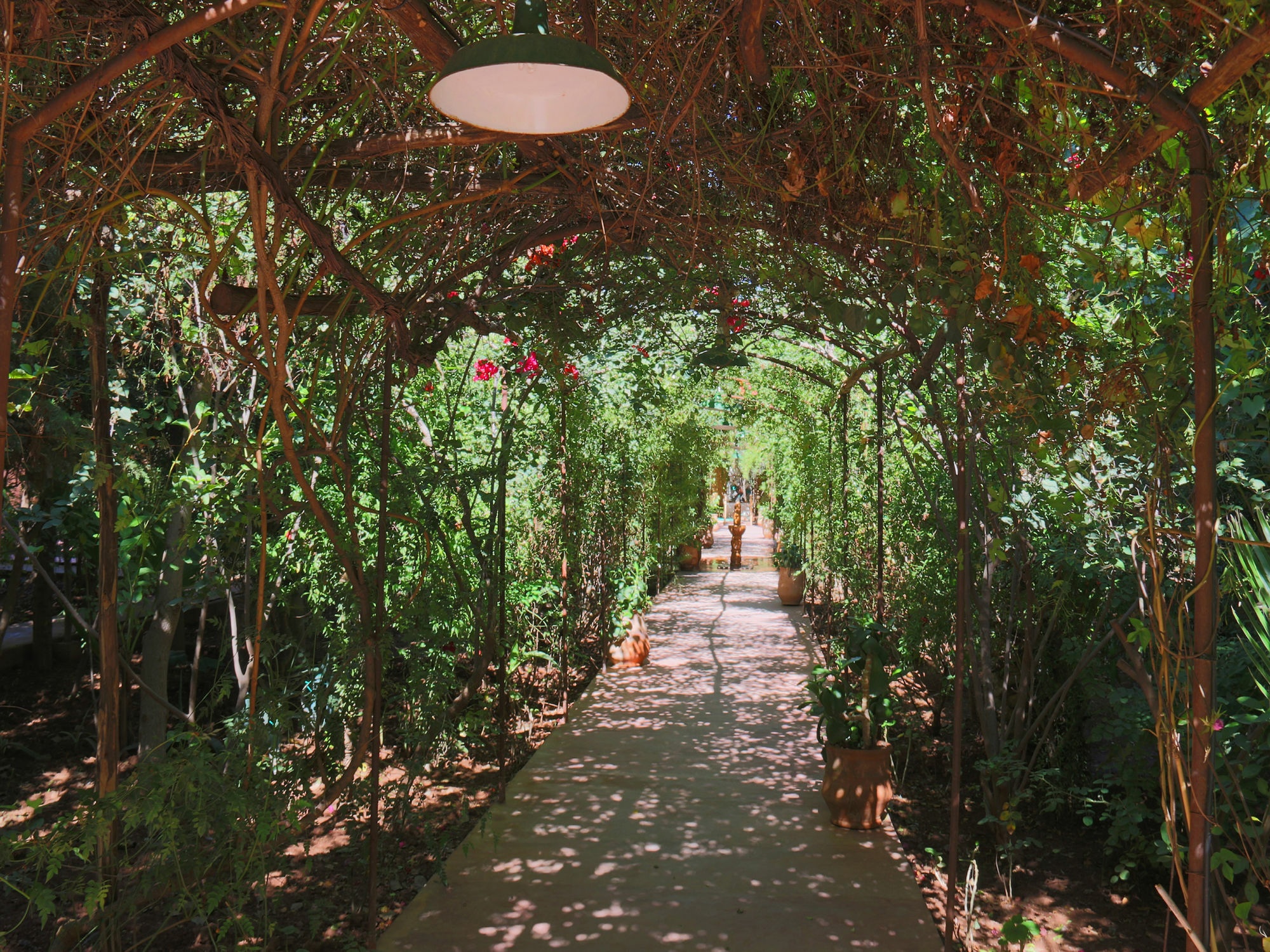 Le Jardin Touagana - Campement & Lodge Touggana Exterior photo